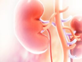 Nephritis causes, & symptoms, treatment